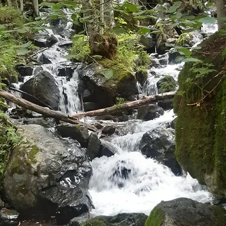 2 Bett Kirschblüte *