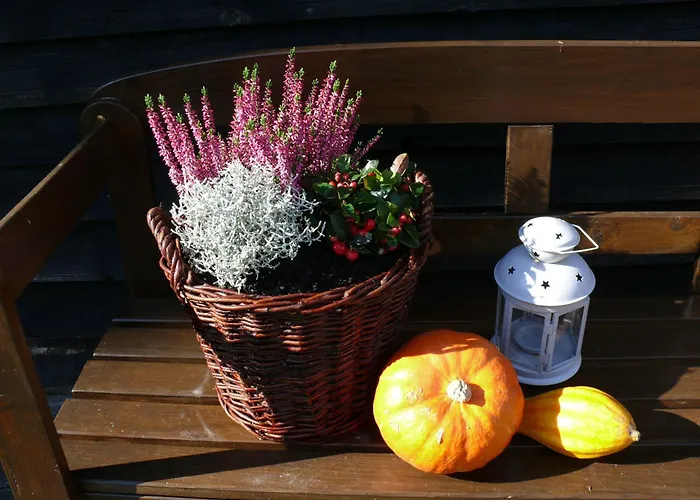 公寓 2 Bett Kirschbluete *