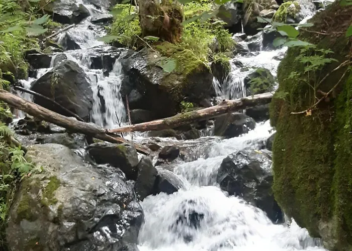 2 Bett Kirschbluete *